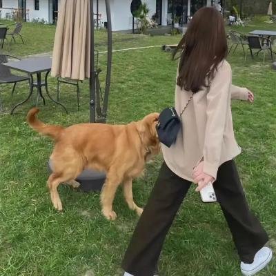 远东之旅